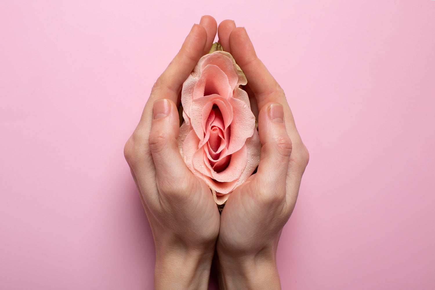 Para Vulva